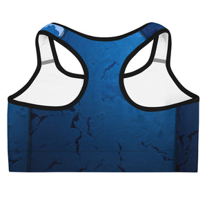 Stone Blue Sports bra